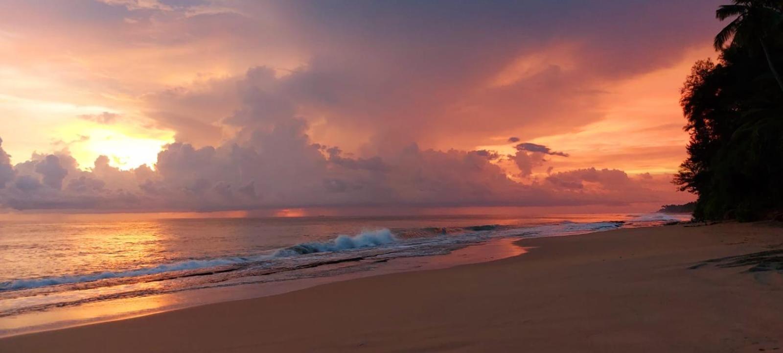 Turtle Paradise Villa คอสโกดา ภายนอก รูปภาพ