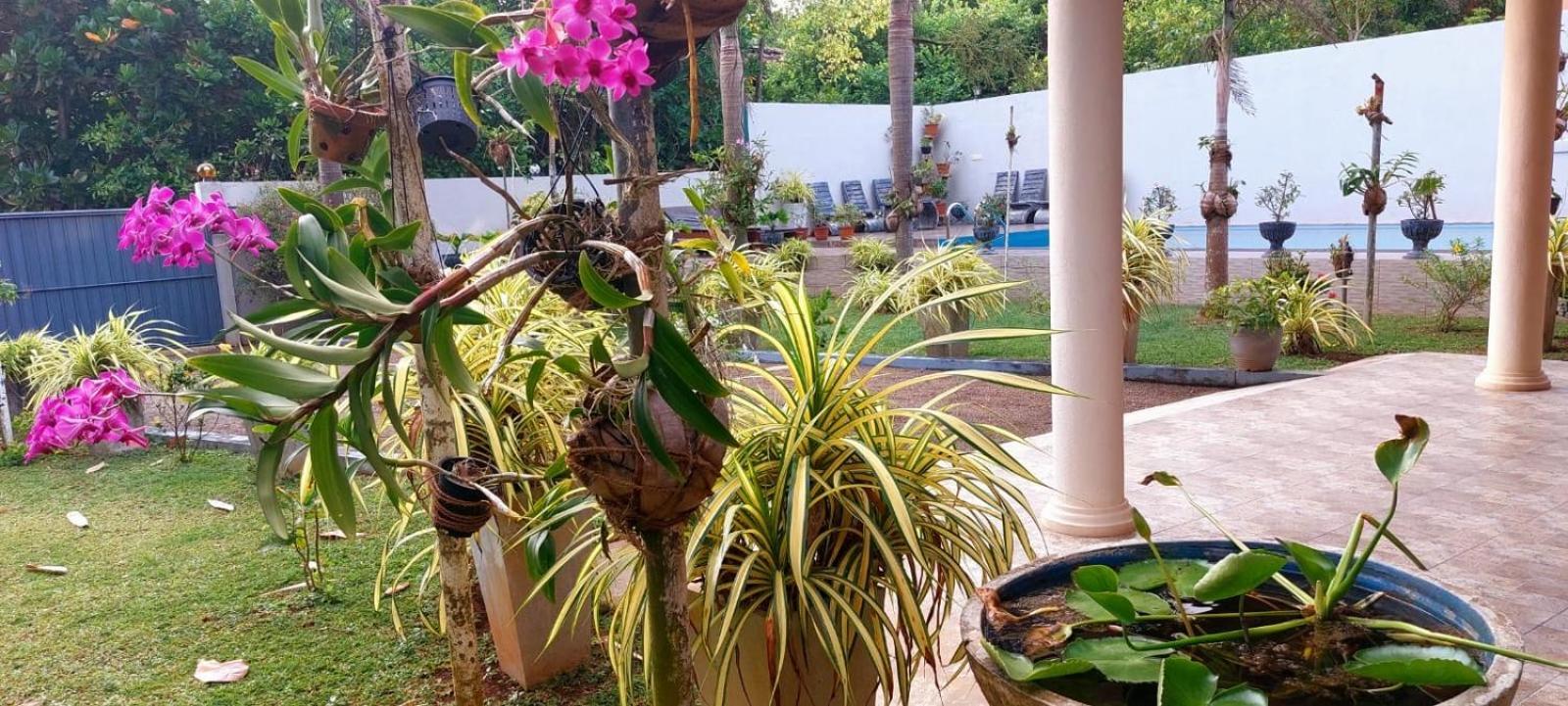 Turtle Paradise Villa คอสโกดา ภายนอก รูปภาพ